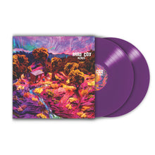 Load image into Gallery viewer, Acres - VINYL